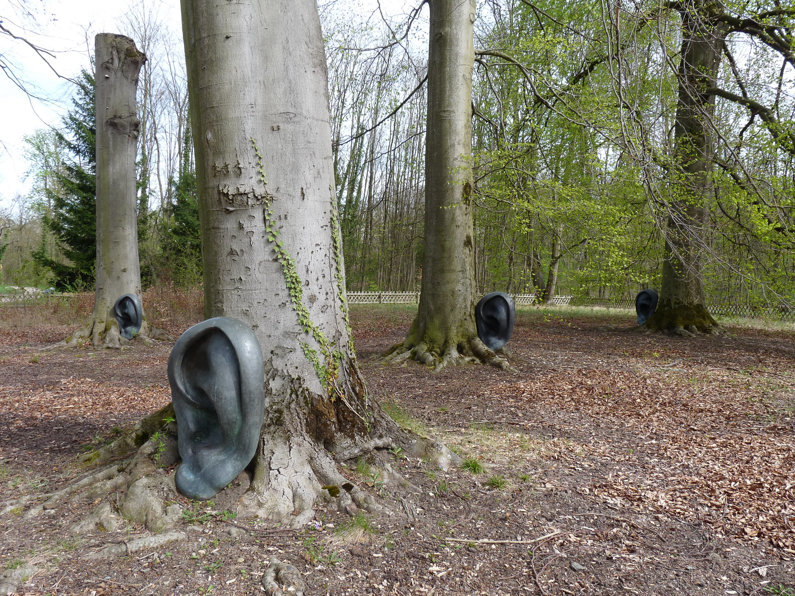 20180414153231 P1110065